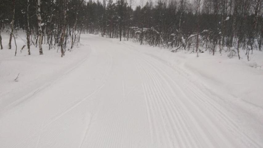 skiing tracks